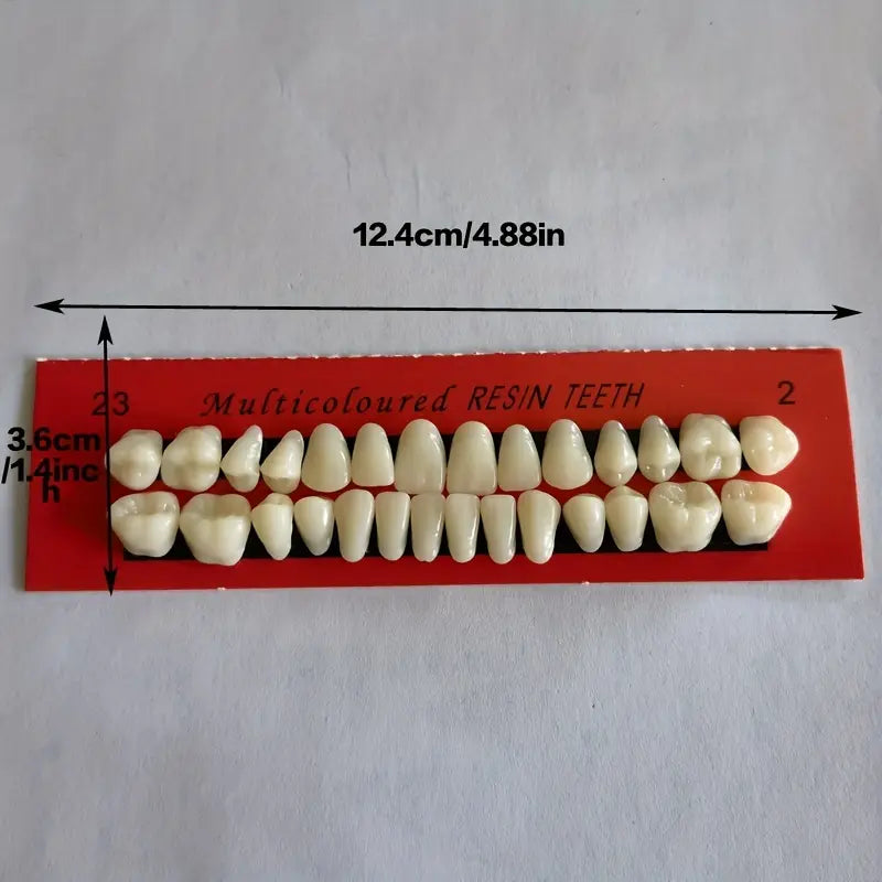 Dents Artificielles en Résine – Kit Complet pour Prothèses Dentaires et Travaux de Laboratoire