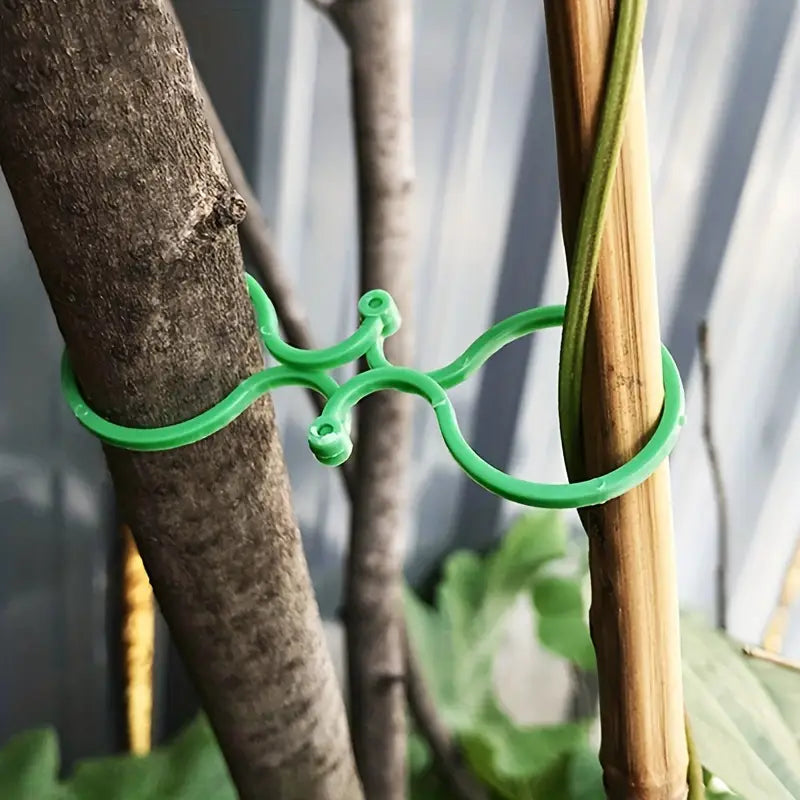 Clips de fixation pour plantes Attaches solides et réutilisables pour tuteurs, tiges et branches | Entretien des plantes facile