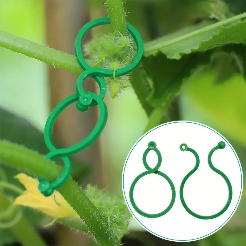 Clips de fixation pour plantes Attaches solides et réutilisables pour tuteurs, tiges et branches | Entretien des plantes facile