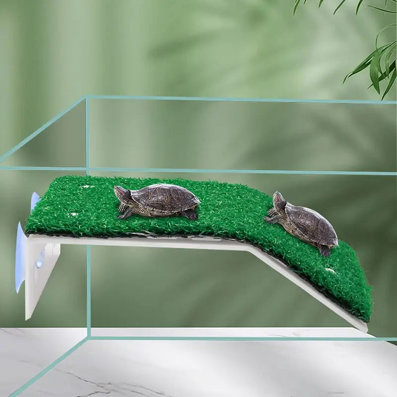 Plateforme Flottante pour Tortues – Rampe Antidérapante avec Ventouses pour Aquarium ou Terrarium