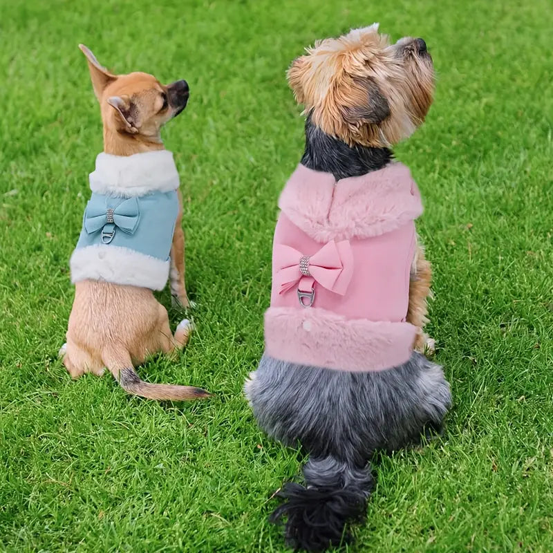 Manteau Harnais pour Petit Chien – Veste Hivernale Doublée avec Noeud Décoratif et Attache Laisse Intégrée