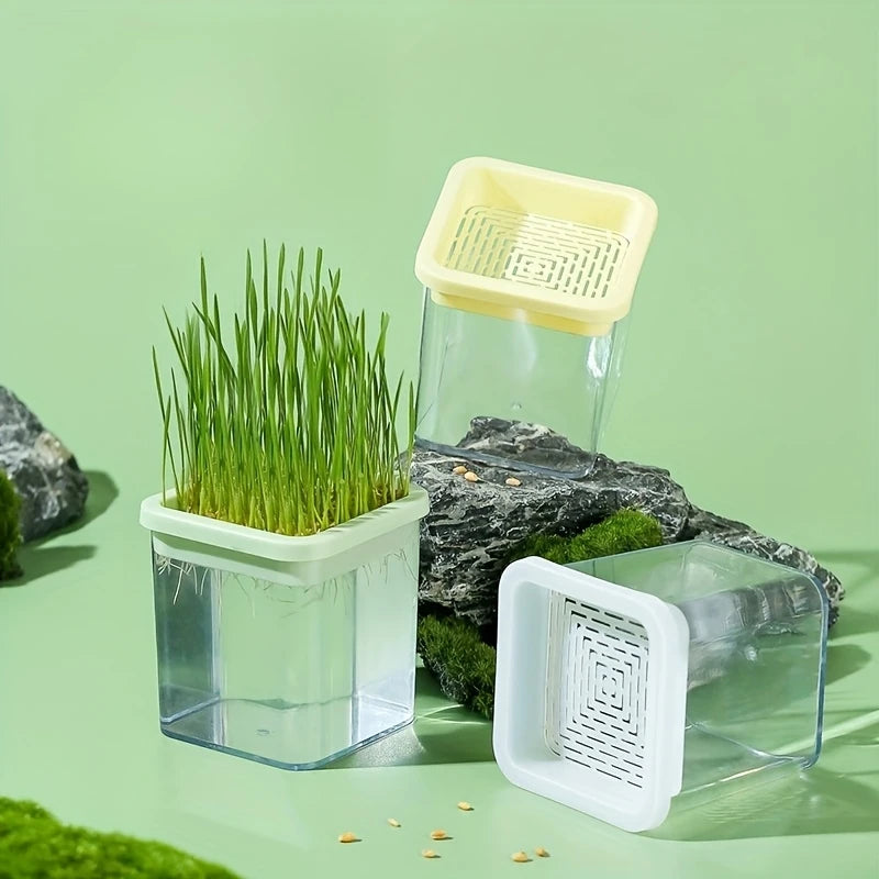 Pot Germoir Transparent avec Couvercle Filtré – Idéal pour la Germination de Graines à la Maison (1 pièce)