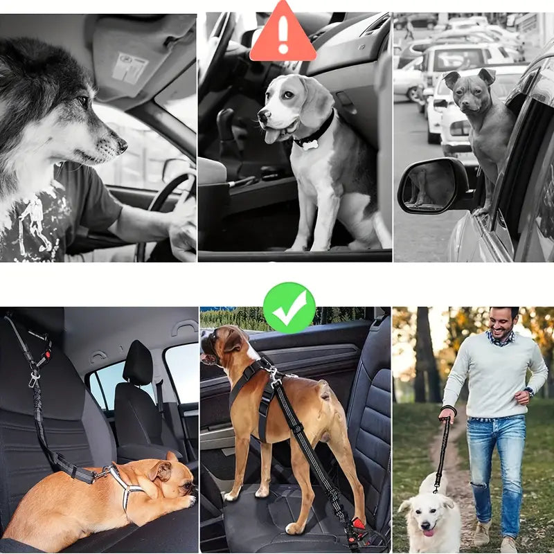 Laisse de Sécurité 2 en 1 pour Chien – Ceinture de Voiture et Laisse de Promenade Réglable et Antichoc