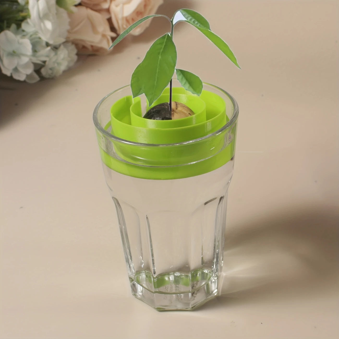 Pots de Germination Empilables en Couleurs – Idéal pour Semis et Bouturage à la Maison