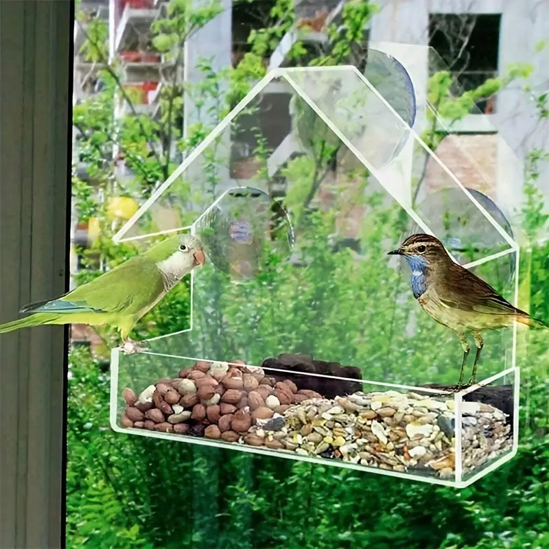 Mangeoire Transparente pour Oiseaux avec Ventouses – À Fixer sur Fenêtre pour Observation Facile