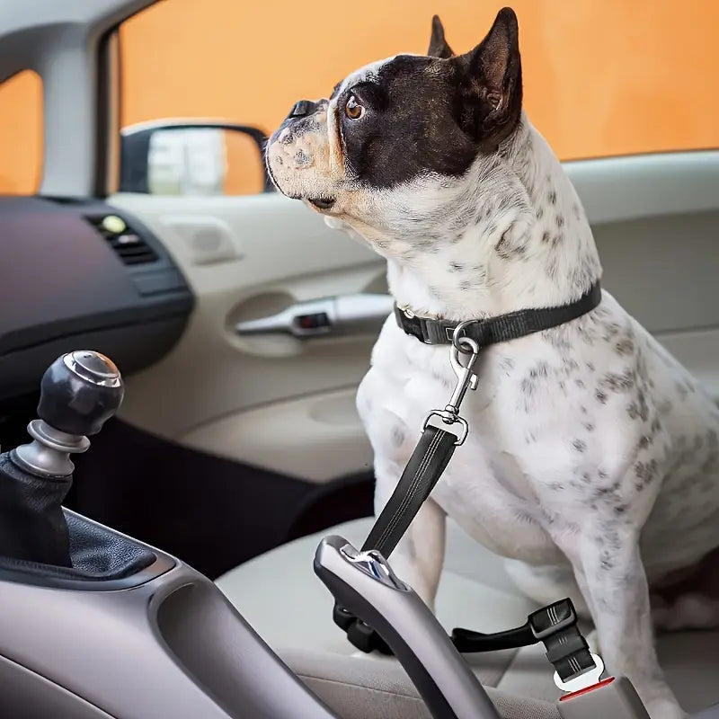 Ceinture de Sécurité pour Chien en Voiture – Laisse de Sécurité Ajustable à Clip Ceinture Universel