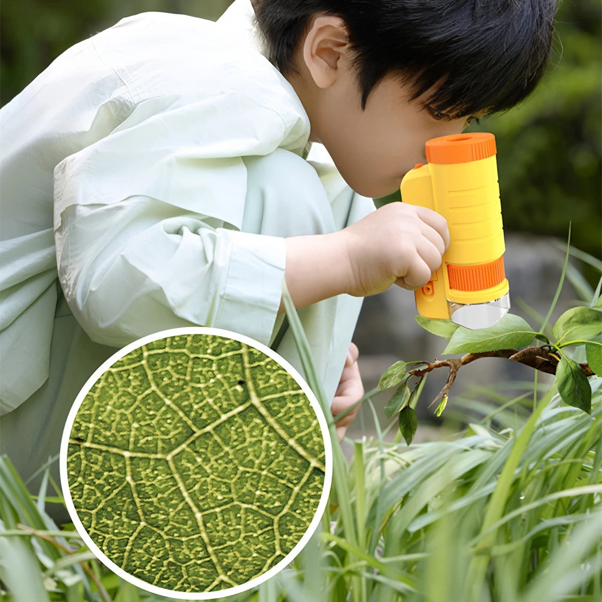 Microscope Portable pour Enfant – Grossissement jusqu’à 200X, Jeu Éducatif pour Observation Nature & Feuilles