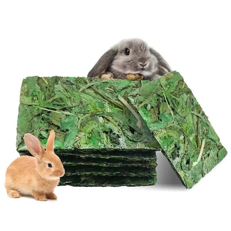 Galettes de Foin aux Fleurs pour Lapins et Rongeurs – Friandises Naturelles Riches en Fibres et Plantes Séchées