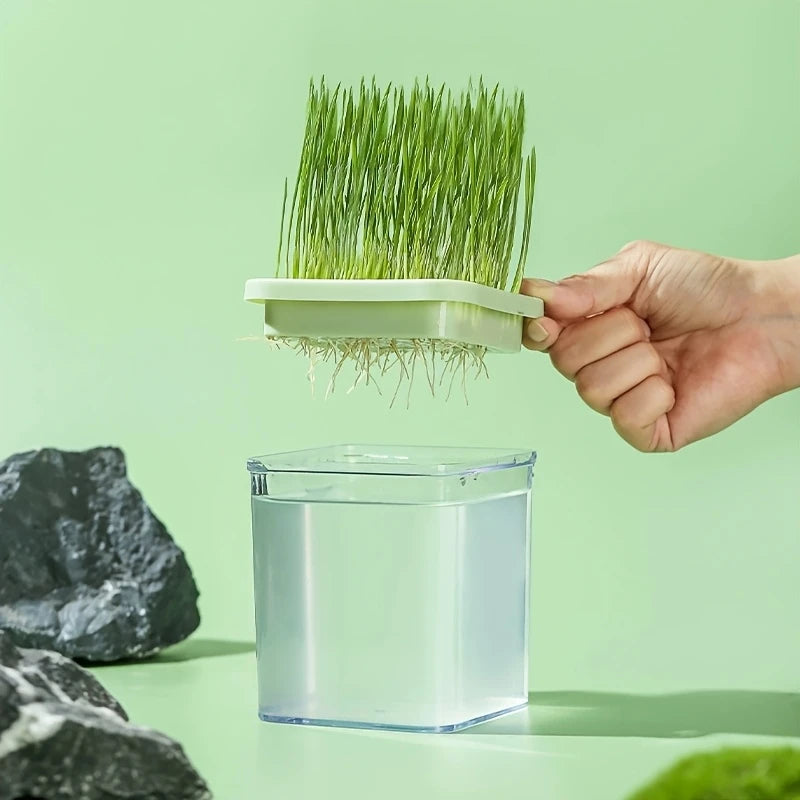 Pot Germoir Transparent avec Couvercle Filtré – Idéal pour la Germination de Graines à la Maison (1 pièce)