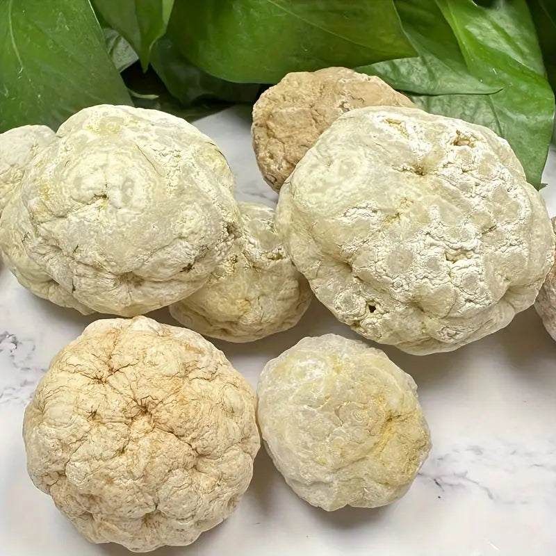 Boules Naturelles Séchées pour Décoration et Artisanat – Matériau Durable pour Projets Industriels et Créatifs