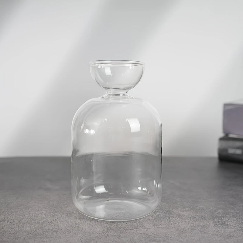 Vase de Germination pour Noyau d’Avocat – Design en Verre Épuré pour Culture Hydroponique