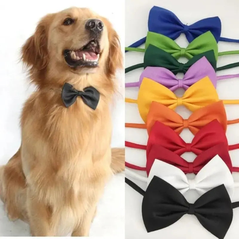 Noeud Papillon Réglable pour Chien et Chat – Accessoire Coloré et Élégant pour Animaux