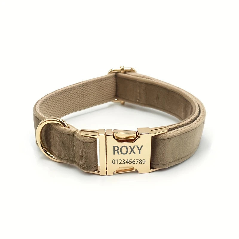 Collier pour chien personnalisé avec boucle gravée – Sécurité et style au quotidien