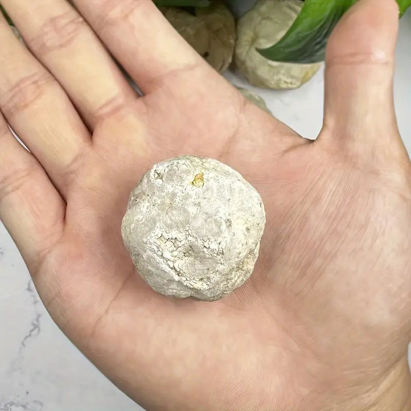 Boules Naturelles Séchées pour Décoration et Artisanat – Matériau Durable pour Projets Industriels et Créatifs