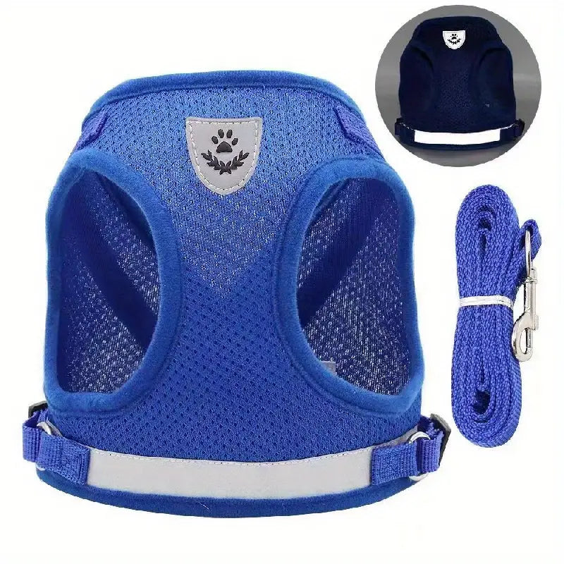 Harnais et Laisse pour Chat – Ensemble Sécurisé et Confortable pour Promenades en Extérieur