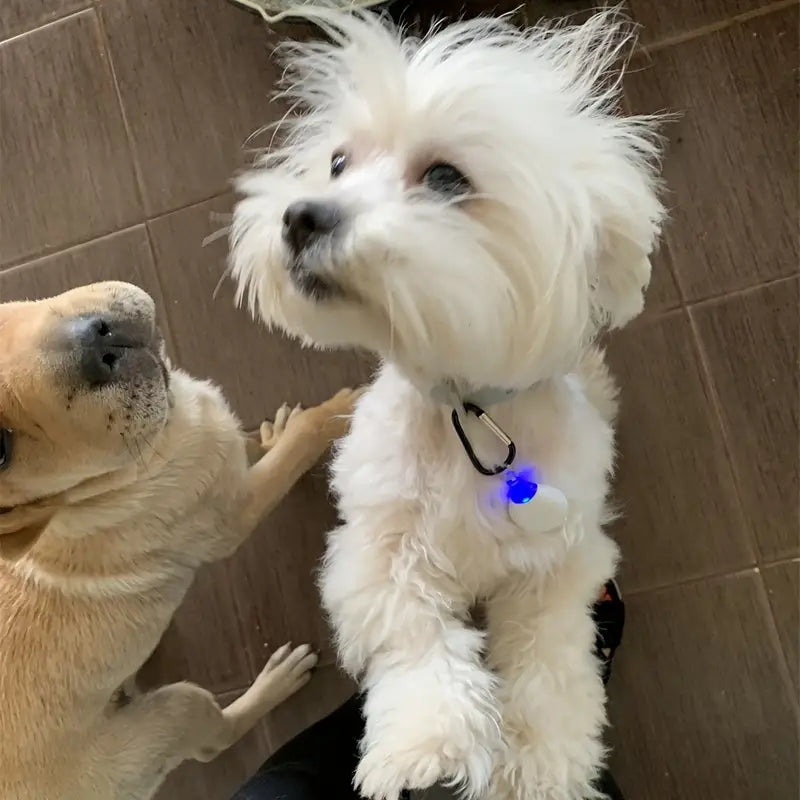 Répulsif Ultrason Compact Certifié CE – Appareil Anti-Moustiques Portable et Discret, Idéal pour Intérieur et Extérieur