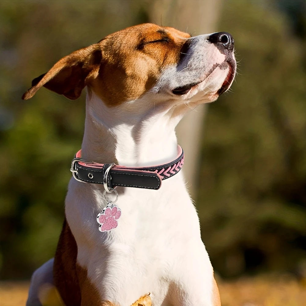 Médaille personnalisée en forme de patte – Identifiant chic et sécurisé pour animaux de compagnie