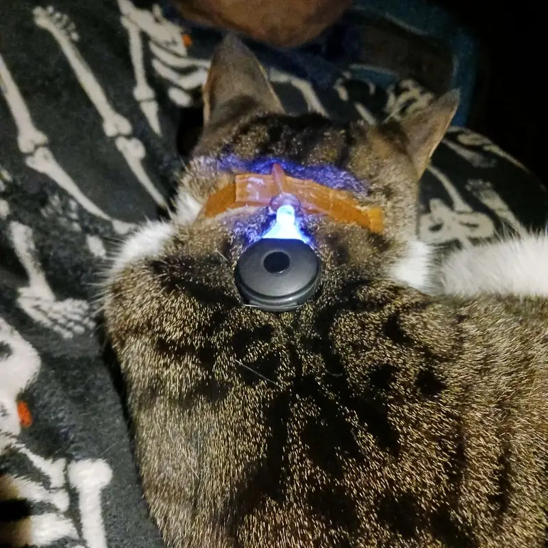 Répulsif Ultrason Compact Certifié CE – Appareil Anti-Moustiques Portable et Discret, Idéal pour Intérieur et Extérieur