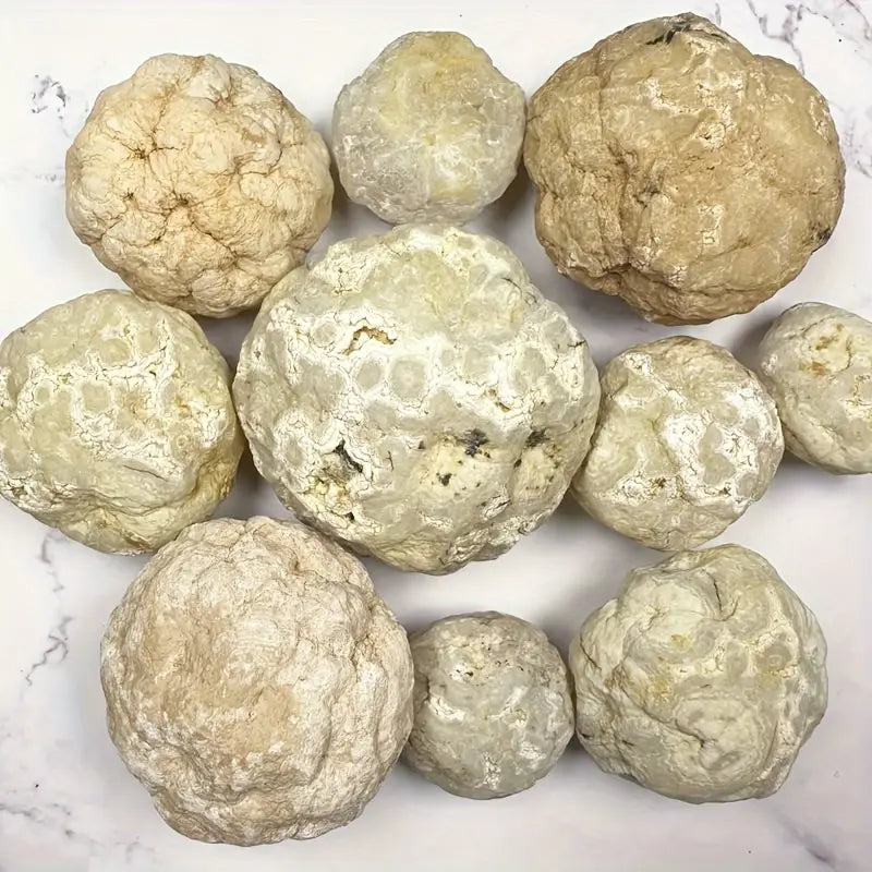 Boules Naturelles Séchées pour Décoration et Artisanat – Matériau Durable pour Projets Industriels et Créatifs