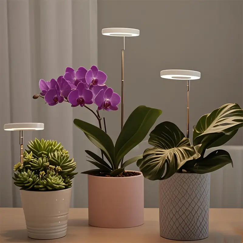 Lampe LED de Croissance pour Plantes d’Intérieur – Lumière Anneau à Spectre Complet pour Serres et Jardins Intérieurs