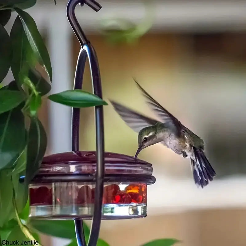 Mangeoire à Colibri Transparente – Distributeur de Nectar Suspendu pour Attirer les Oiseaux dans Votre Jardin