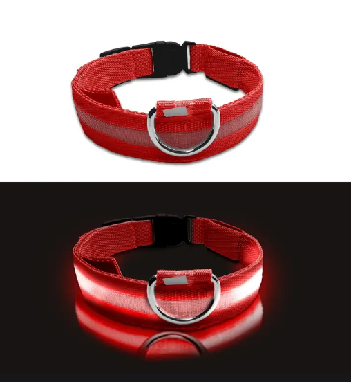 Collier Lumineux LED pour Chien – Réglable, Réfléchissant et Rechargeable pour Promenades Nocturnes en Toute Sécurité