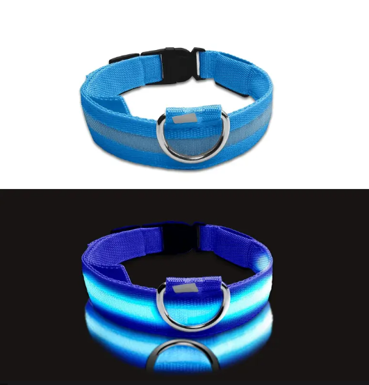 Collier Lumineux LED pour Chien – Réglable, Réfléchissant et Rechargeable pour Promenades Nocturnes en Toute Sécurité