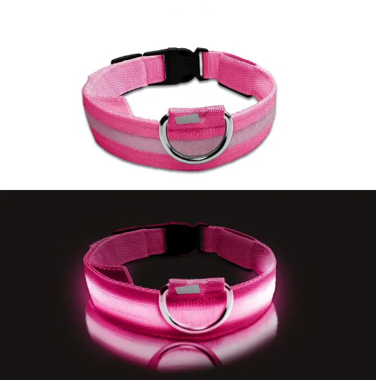 Collier Lumineux LED pour Chien – Réglable, Réfléchissant et Rechargeable pour Promenades Nocturnes en Toute Sécurité