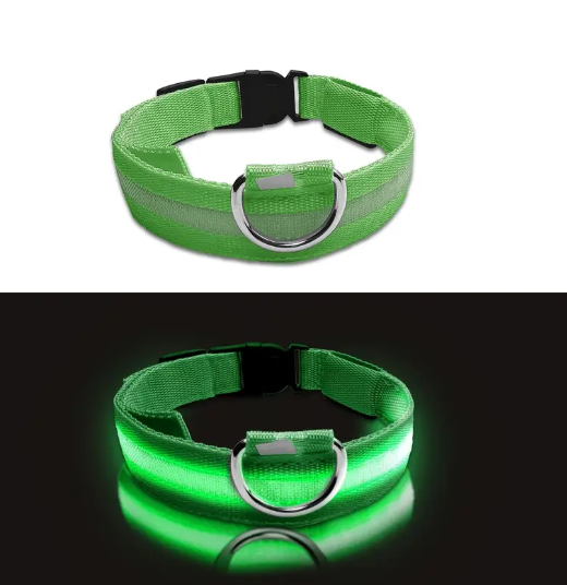 Collier Lumineux LED pour Chien – Réglable, Réfléchissant et Rechargeable pour Promenades Nocturnes en Toute Sécurité