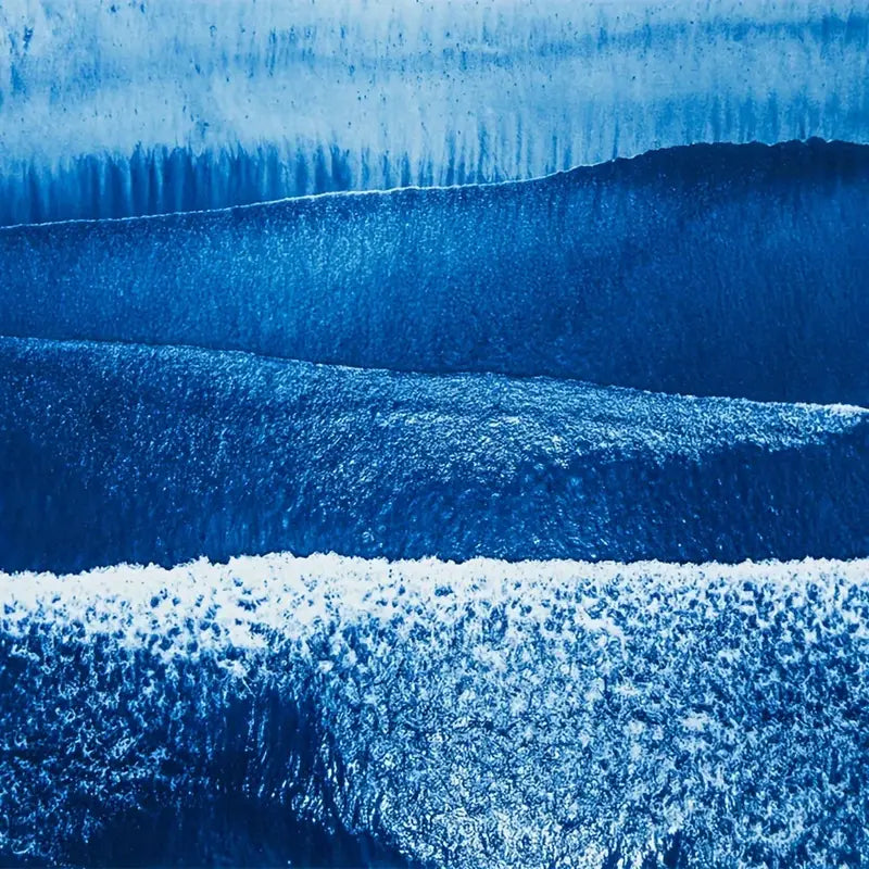 Kit Cyanotype DIY – Papier Photosensible pour Scrapbooking et Estampage | Créations Artistiques Botaniques