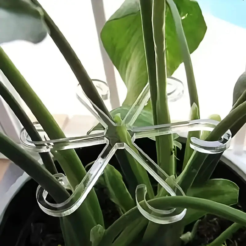 Clips de support pour plantes Tuteurs réglables pour maintenir et guider la croissance