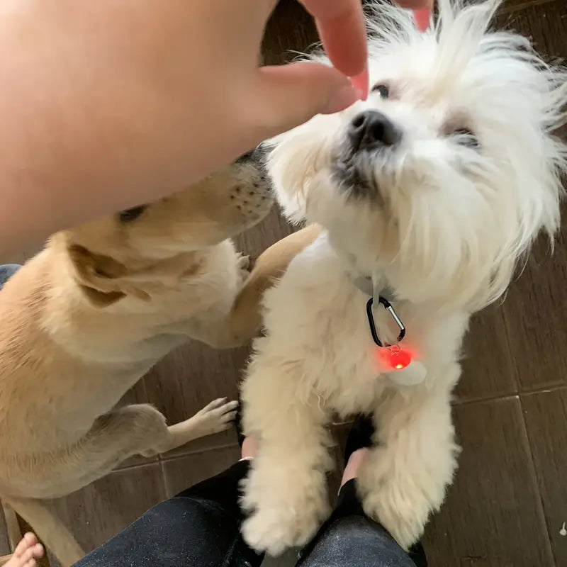 Répulsif ultrason portable contre moustiques et parasites – Dispositif antiparasitaire compact avec lumière LED