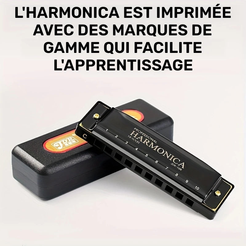 Harmonica Professionnel 10 Trous – Instrument de Musique Portable pour Débutants et Musiciens Confirmés