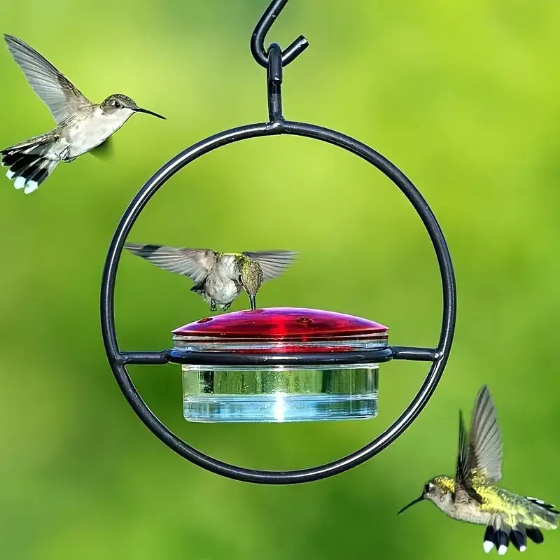 Mangeoire à Colibri Transparente – Distributeur de Nectar Suspendu pour Attirer les Oiseaux dans Votre Jardin