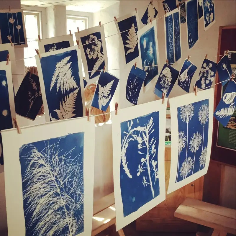 Kit Cyanotype DIY – Papier Photosensible pour Scrapbooking et Estampage | Créations Artistiques Botaniques