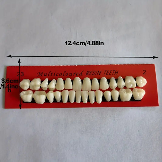 Dents Artificielles en Résine – Kit Complet pour Prothèses Dentaires et Travaux de Laboratoire