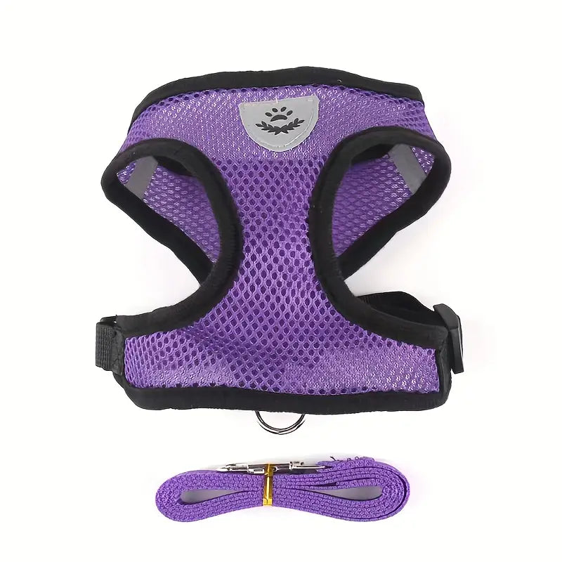 Harnais Respirant Réglable pour Chien avec Laisse – Gilet de Promenade Confortable et Sécurisé pour Petit et Moyen Chien