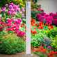 Borne de Jardin avec Robinet en Acier Inoxydable Colonne d’Arrosage Extérieure pour Jardin et Potager