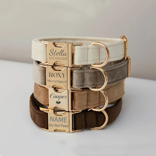 Collier pour chien personnalisé avec boucle gravée – Sécurité et style au quotidien