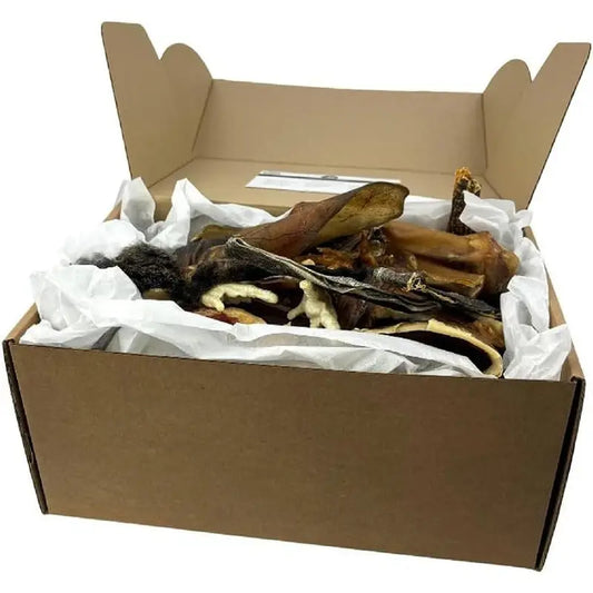 Box de Friandises Naturelles pour Chiens – Panaché de Produits Séchés 100% Naturels à Mâcher