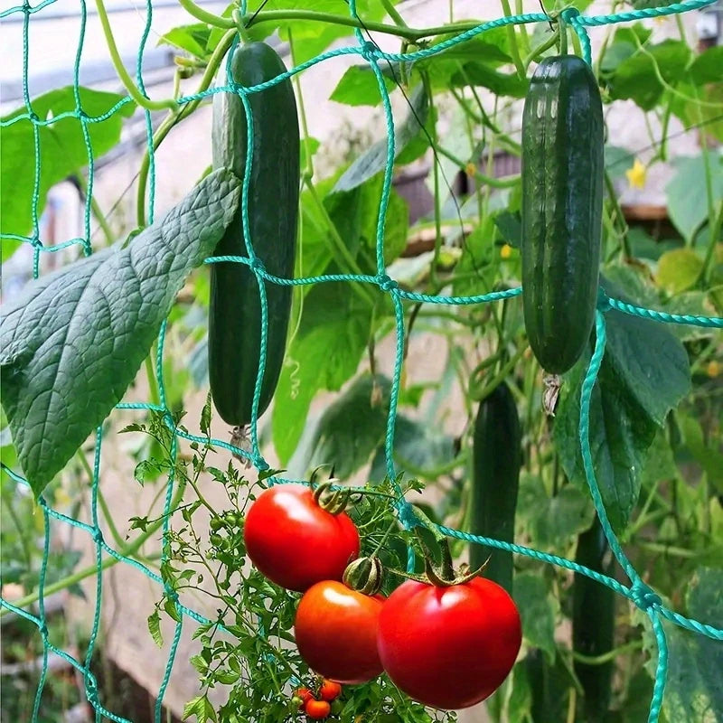 Filet de Support pour Plantes Grimpantes – Idéal Tomates, Concombres, Haricots – Jardin Potager