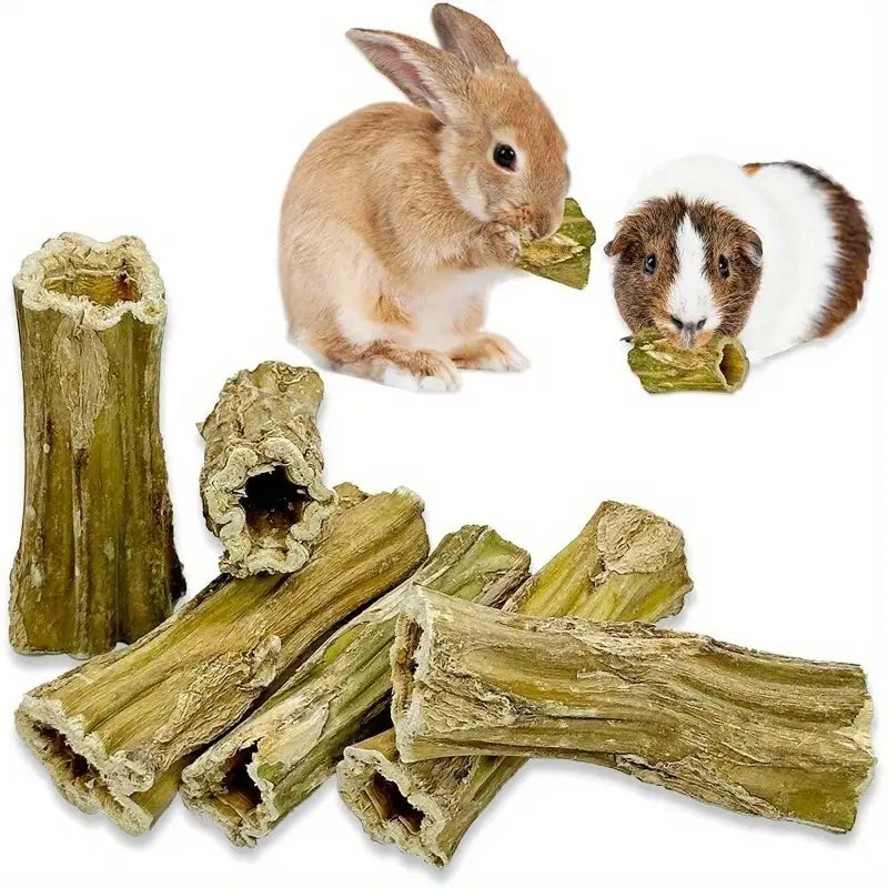 Bâtonnets à Mâcher Naturels pour Lapins et Rongeurs – Bois de Ronce Séché 100% Bio | Santé Dentaire et Plaisir Gourmand