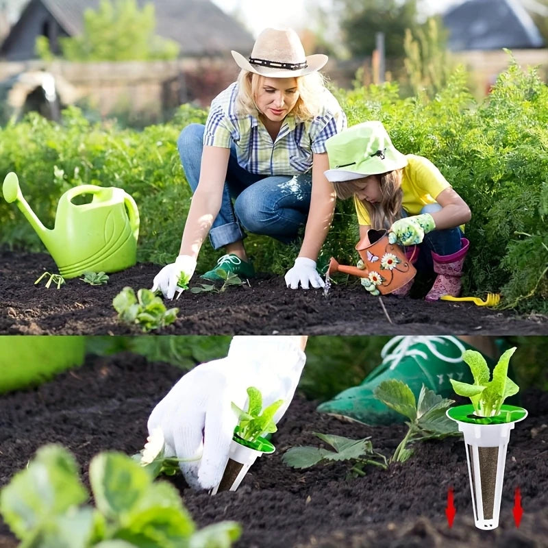 Kit Complet de Culture Hydroponique pour Plantes – Capsules, Éponges, Dômes et Coupelles (Lot de 121 Pièces)