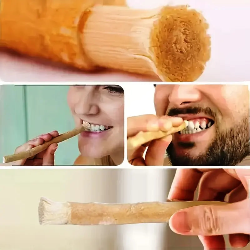 Bâton de Siwak Naturel – Brosse à Dents Écologique Sans Dentifrice pour Hygiène Bucco-Dentaire