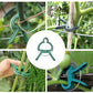 Clips de fixation pour plantes grimpantes – Pinces de support pour tuteurs, tomates, concombres et fleurs