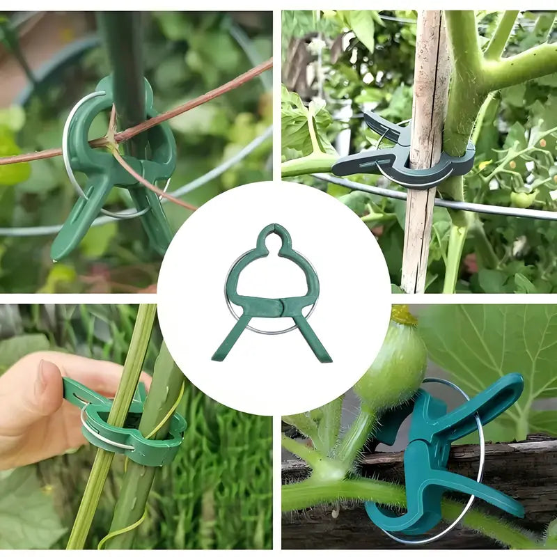 Clips de fixation pour plantes grimpantes – Pinces de support pour tuteurs, tomates, concombres et fleurs