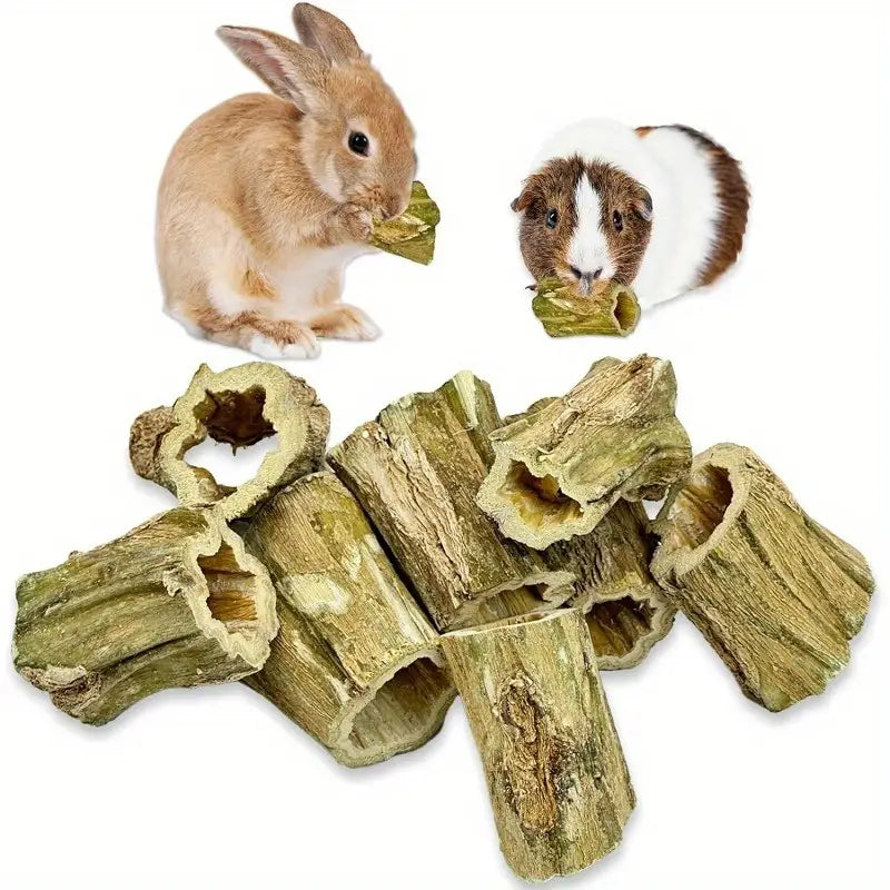 Bâtonnets à Mâcher Naturels pour Lapins et Rongeurs – Bois de Ronce Séché 100% Bio | Santé Dentaire et Plaisir Gourmand