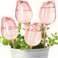 Bulbes d’Arrosage Automatique en Forme de Tulipe – Lot de 1/2/4 Goutteurs Décoratifs pour Plantes en Pot