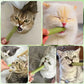 Bâtonnets à l’Herbe à Chat Naturels – Friandises Dentaires pour Chats | 100% Naturels et Digestes
