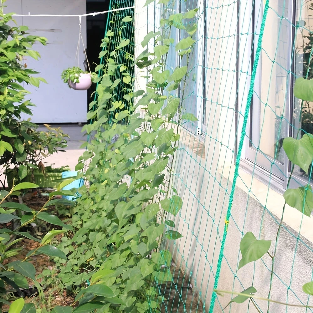 Filet de Support pour Plantes Grimpantes – Idéal Tomates, Concombres, Haricots – Jardin Potager